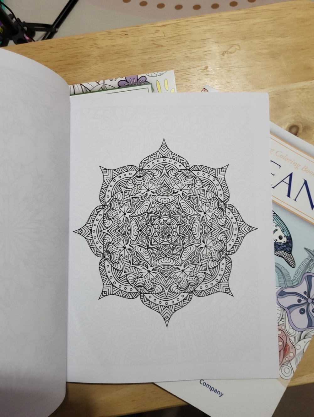 Adult Stress Relieving Coloring Book with Colored Pencils - Picture 9 of 9